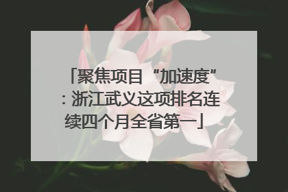 聚焦项目“加速度”：浙江武义这项排名连续四个月全省第一