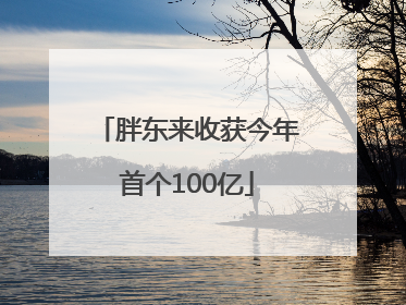 胖东来收获今年首个100亿