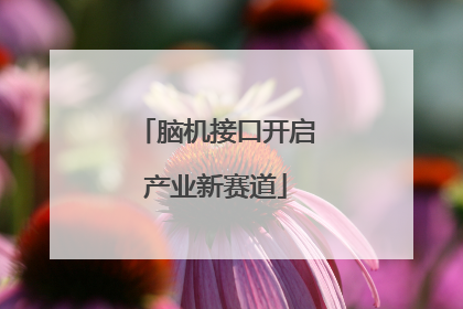 脑机接口开启产业新赛道