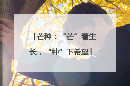 芒种：“芒”着生长，“种”下希望