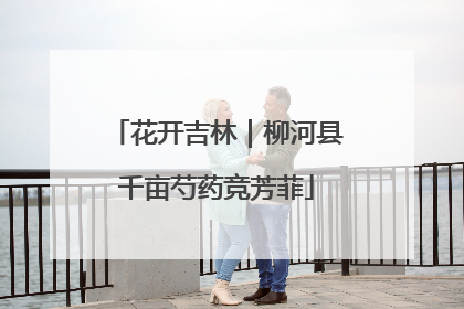 花开吉林｜柳河县千亩芍药竞芳菲