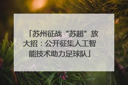 苏州征战“苏超”放大招：公开征集人工智能技术助力足球队