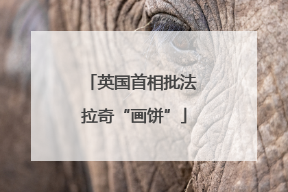 英国首相批法拉奇“画饼”
