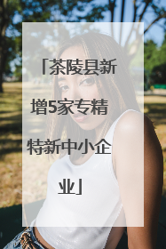 茶陵县新增5家专精特新中小企业