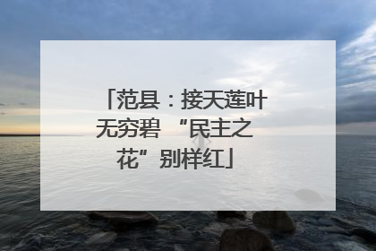 范县：接天莲叶无穷碧 “民主之花”别样红