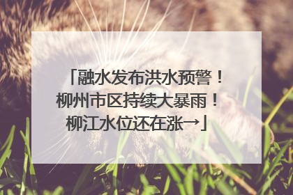 融水发布洪水预警！柳州市区持续大暴雨！柳江水位还在涨→