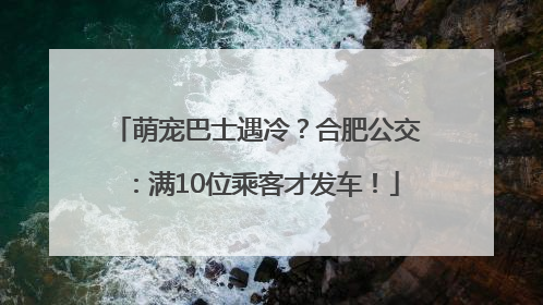 萌宠巴士遇冷？合肥公交：满10位乘客才发车！