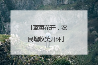 蓝莓花开，农民增收笑开怀