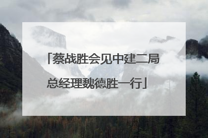 蔡战胜会见中建二局总经理魏德胜一行