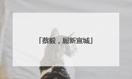 蔡毅，履新宣城