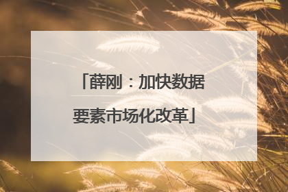 薛刚：加快数据要素市场化改革