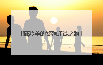 藏羚羊的繁殖迁徙之路
