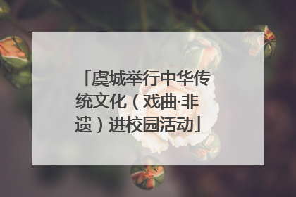 虞城举行中华传统文化（戏曲·非遗）进校园活动