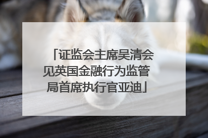 证监会主席吴清会见英国金融行为监管局首席执行官亚迪