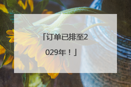订单已排至2029年！