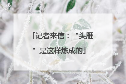 记者来信：“头雁”是这样炼成的