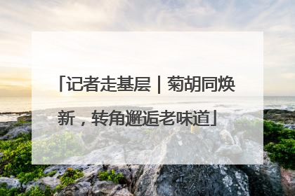 记者走基层｜菊胡同焕新，转角邂逅老味道