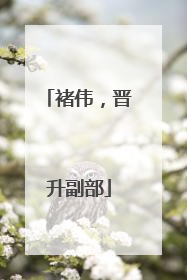 褚伟，晋升副部