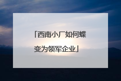 西南小厂如何蝶变为领军企业