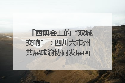 西博会上的“双城交响”：四川六市州共展成渝协同发展画卷｜西博视界