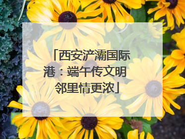 西安浐灞国际港：端午传文明 邻里情更浓