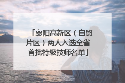 襄阳高新区（自贸片区）两人入选全省首批特级技师名单