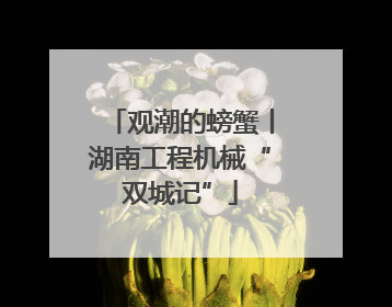 观潮的螃蟹丨湖南工程机械“双城记”