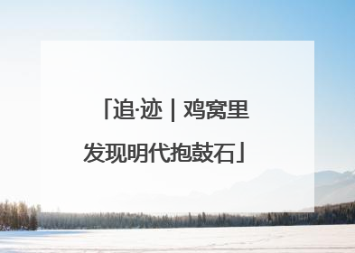 追·迹｜鸡窝里发现明代抱鼓石