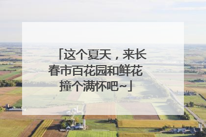 这个夏天，来长春市百花园和鲜花撞个满怀吧~
