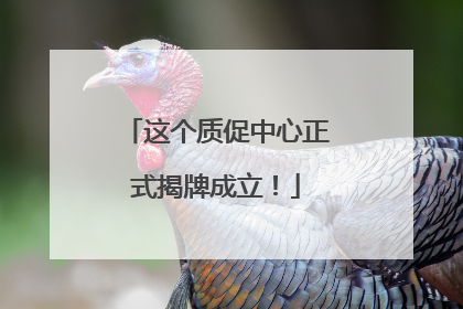这个质促中心正式揭牌成立！