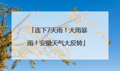 连下7天雨！大雨暴雨！安徽天气大反转