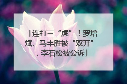 连打三“虎”！罗增斌、马丰胜被“双开”，李石松被公诉