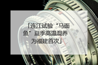 连江试验“马面鱼”夏季高温混养 为福建首次