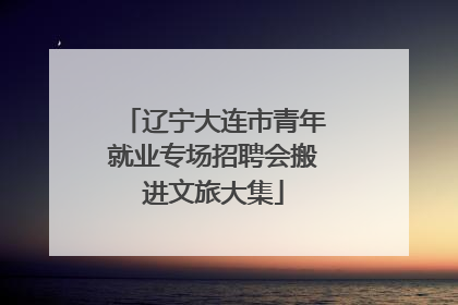 辽宁大连市青年就业专场招聘会搬进文旅大集