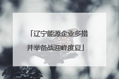 辽宁能源企业多措并举备战迎峰度夏