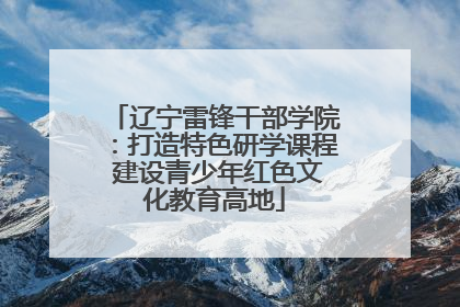 辽宁雷锋干部学院：打造特色研学课程 建设青少年红色文化教育高地