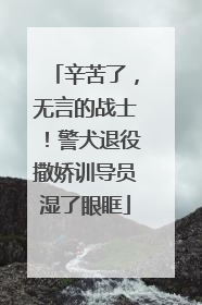 辛苦了，无言的战士！警犬退役撒娇训导员湿了眼眶