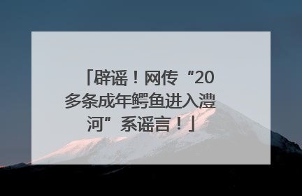 辟谣！网传“20多条成年鳄鱼进入澧河”系谣言！