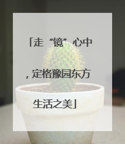 走“镜”心中，定格豫园东方生活之美