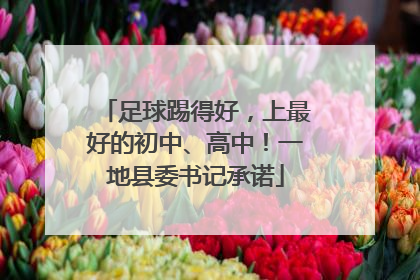 足球踢得好，上最好的初中、高中！一地县委书记承诺