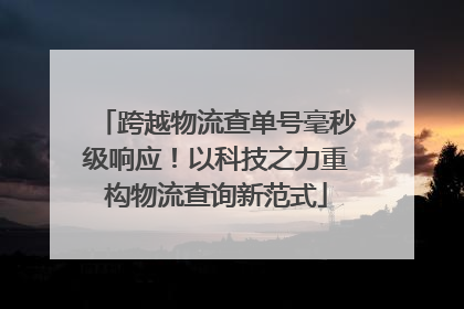 跨越物流查单号毫秒级响应！以科技之力重构物流查询新范式