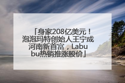 身家208亿美元！泡泡玛特创始人王宁成河南新首富，Labubu热销推涨股价