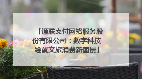 通联支付网络服务股份有限公司：数字科技绘就文旅消费新图景