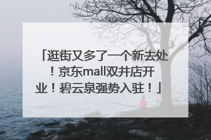 逛街又多了一个新去处！京东mall双井店开业！碧云泉强势入驻！