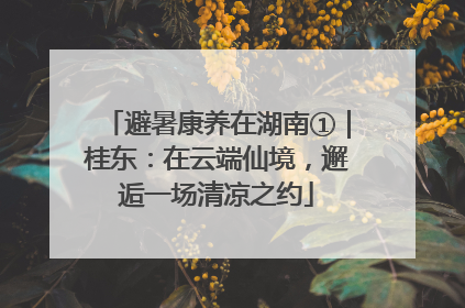 避暑康养在湖南①｜桂东：在云端仙境，邂逅一场清凉之约
