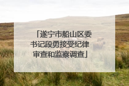 遂宁市船山区委书记段勇接受纪律审查和监察调查