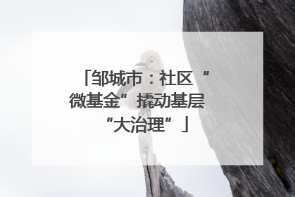 邹城市：社区“微基金”撬动基层“大治理”