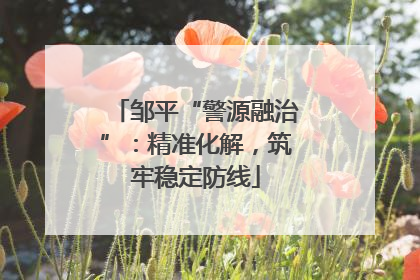 邹平“警源融治”：精准化解，筑牢稳定防线
