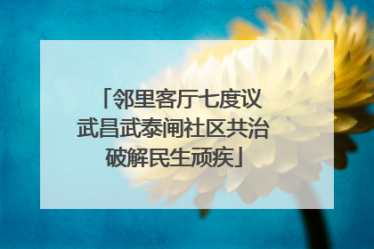 邻里客厅七度议 武昌武泰闸社区共治破解民生顽疾