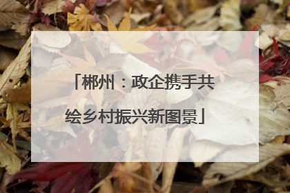 郴州：政企携手共绘乡村振兴新图景